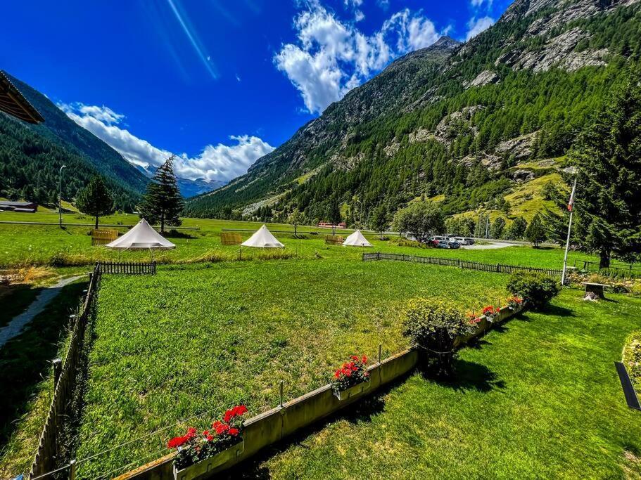 Panorama Hideaway Apartment Near Zermatt With Parking! 태쉬 외부 사진